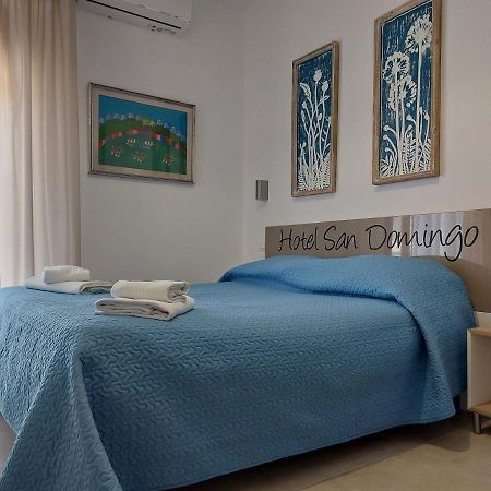 Hotel San Domingo リド・ディ・カマイオーレ エクステリア 写真